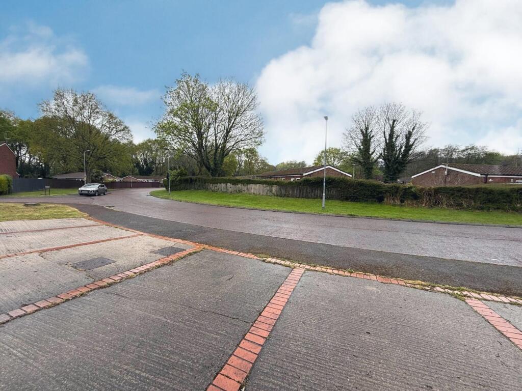 PHOTO-2025-04-18-12-55-53 6