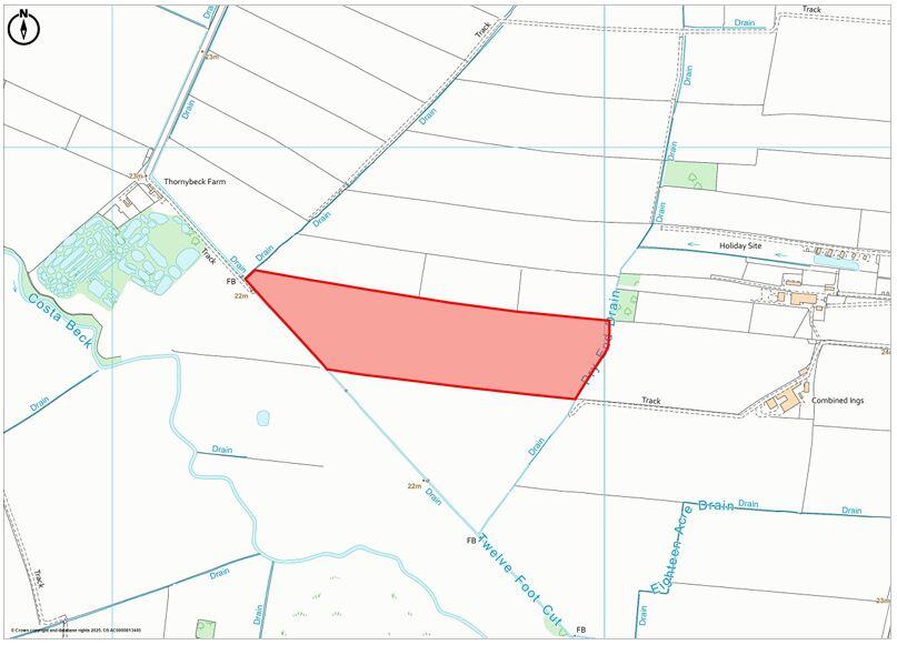 Land Plan