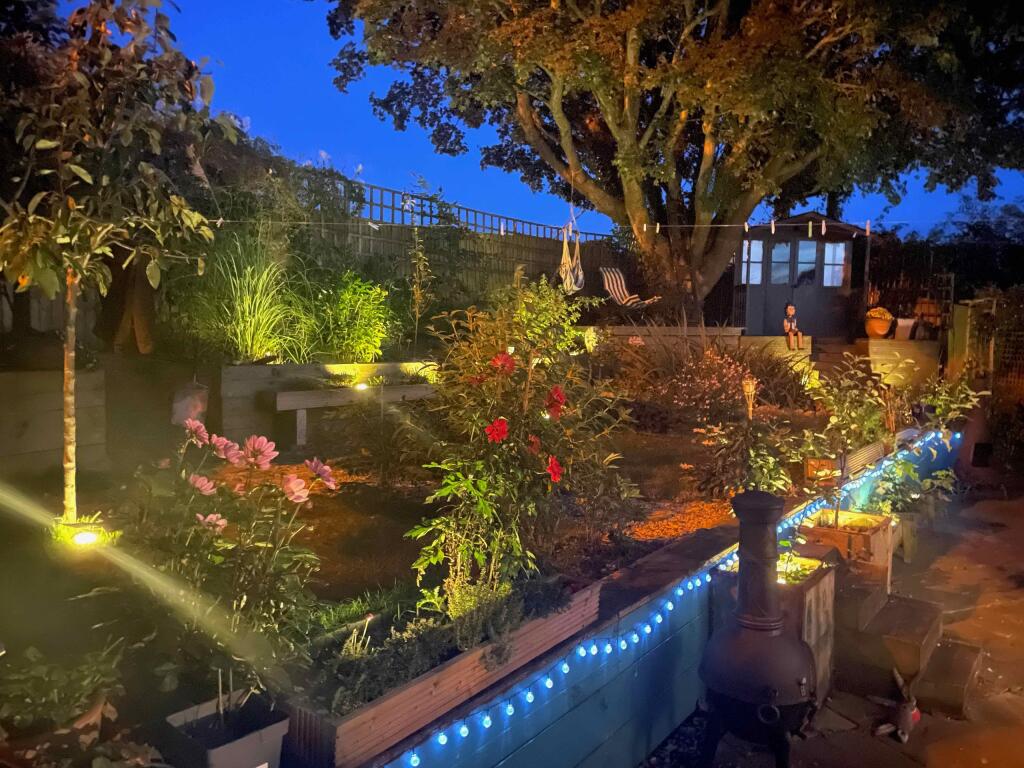 BH GARDEN NIGHT LIGHTS.jpeg