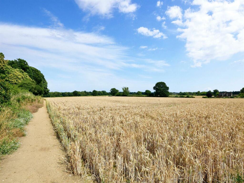 Surrounding Area (Original)