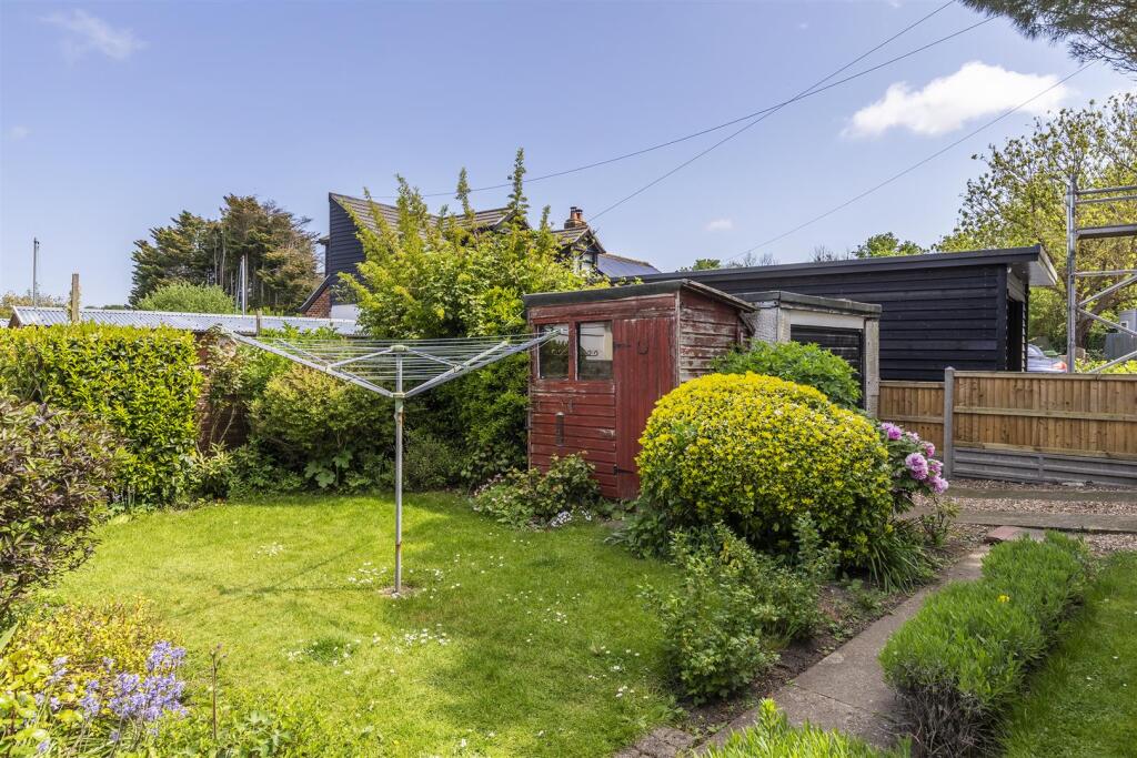 Back Garden