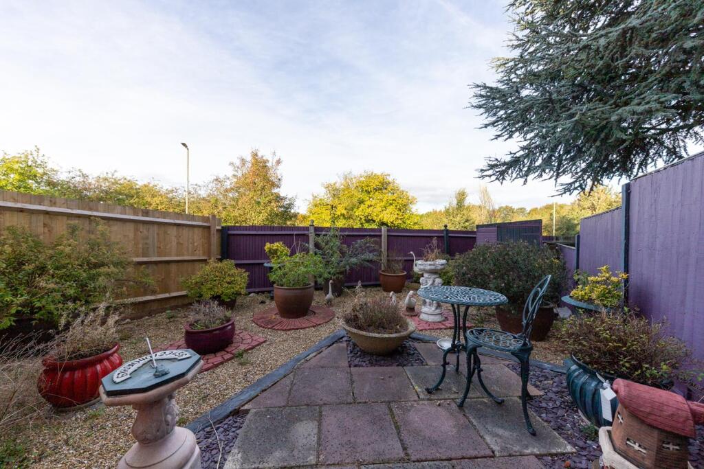 30 Sanderling (11 of 15).jpg