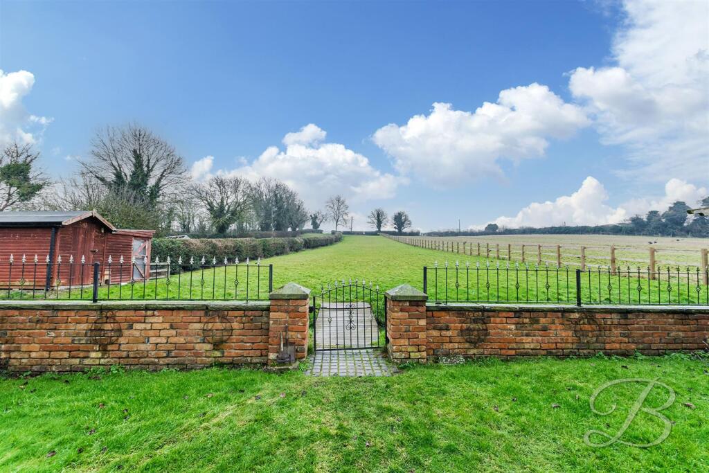 Rear Garden Area