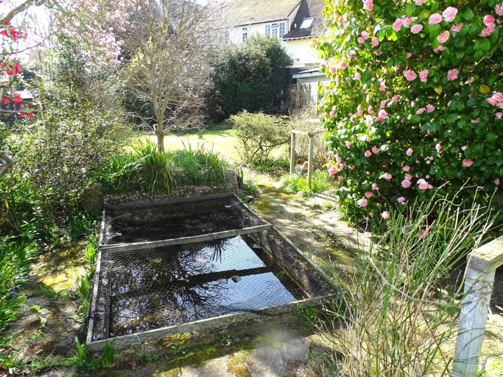 FISH POND AND BEYOND
