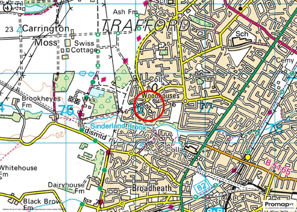 Town Plan