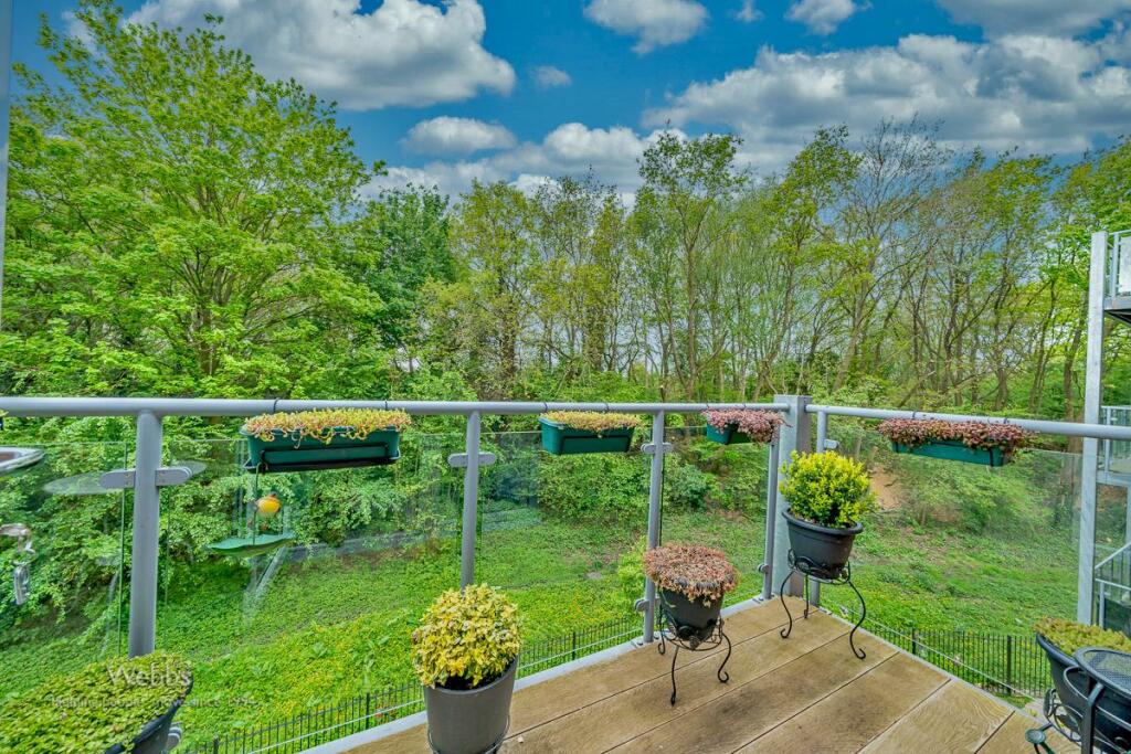 Webbs (9 of 242).jpg