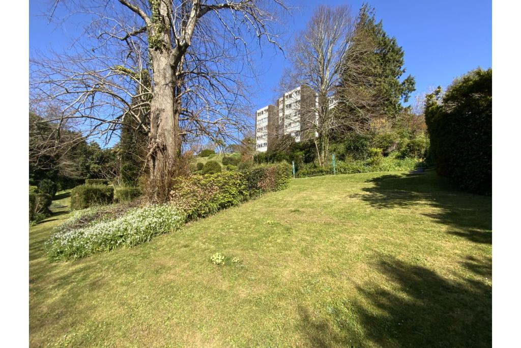View Of The Property