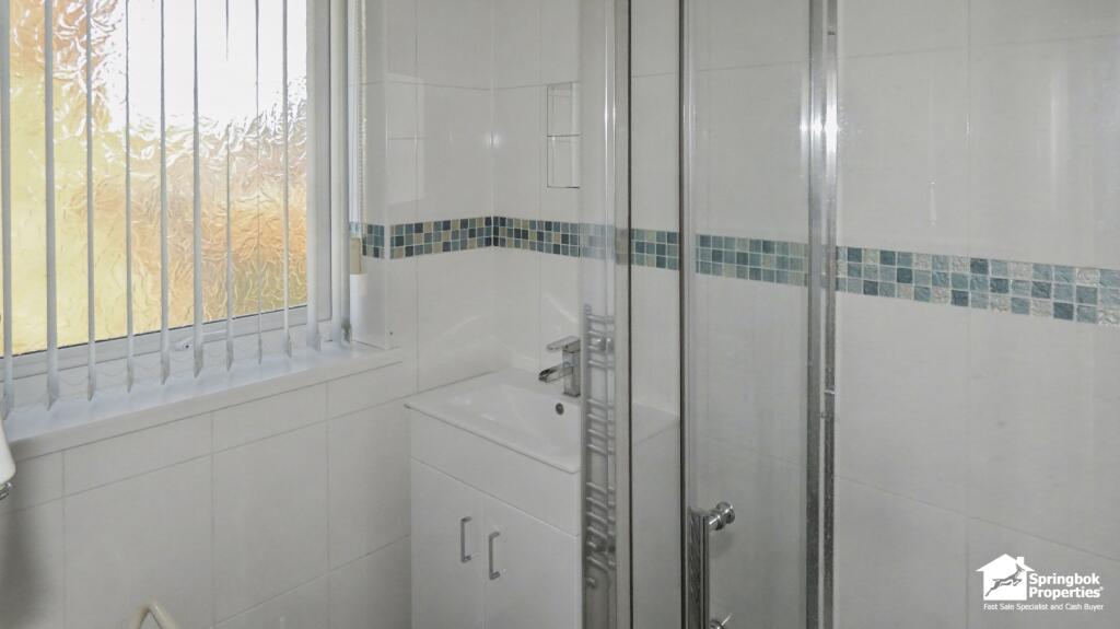 IMAGE 11