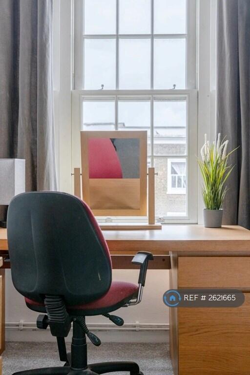 Lots Of Natural Light