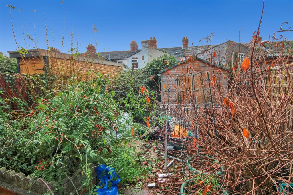 Garden.JPG
