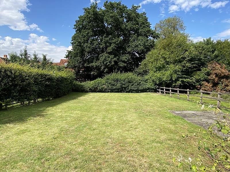 rear garden.jpg