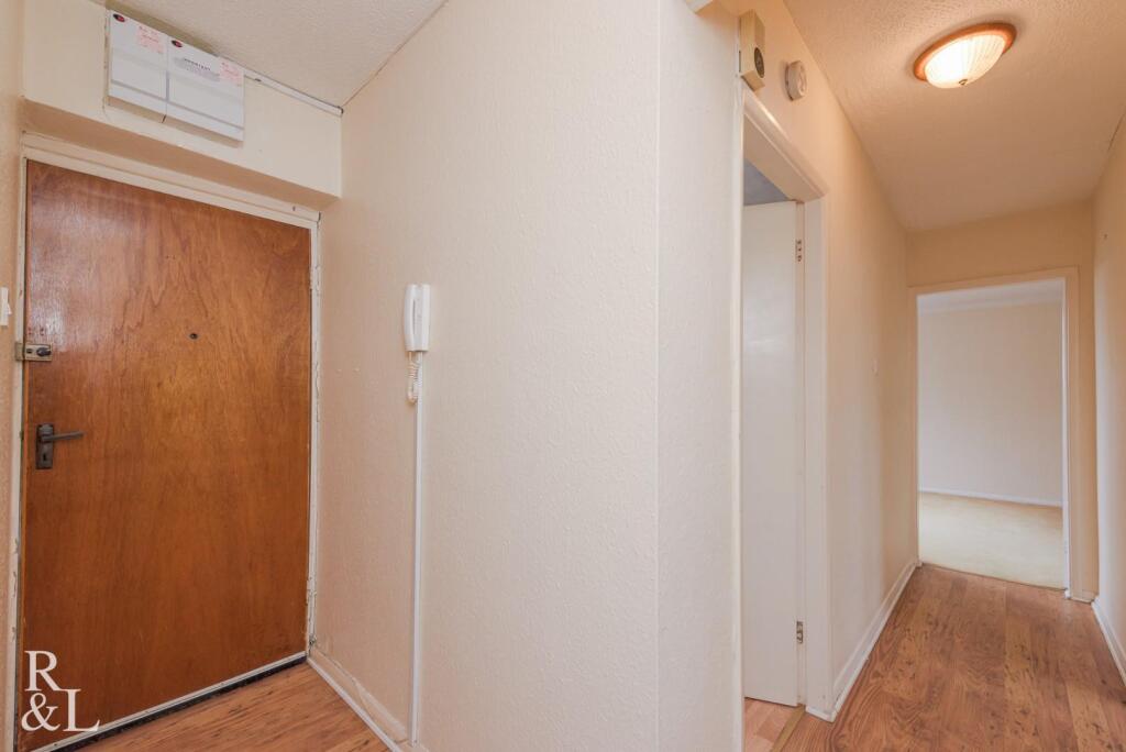 springfields (17).jpg