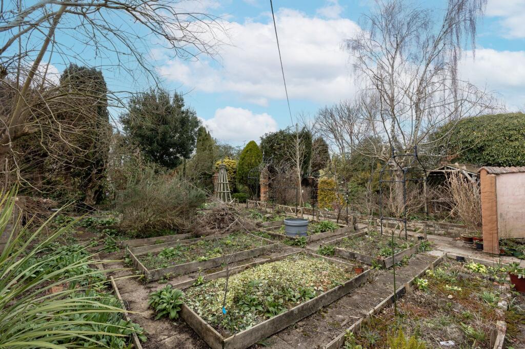 Vegetable patch