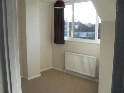 Photo 07