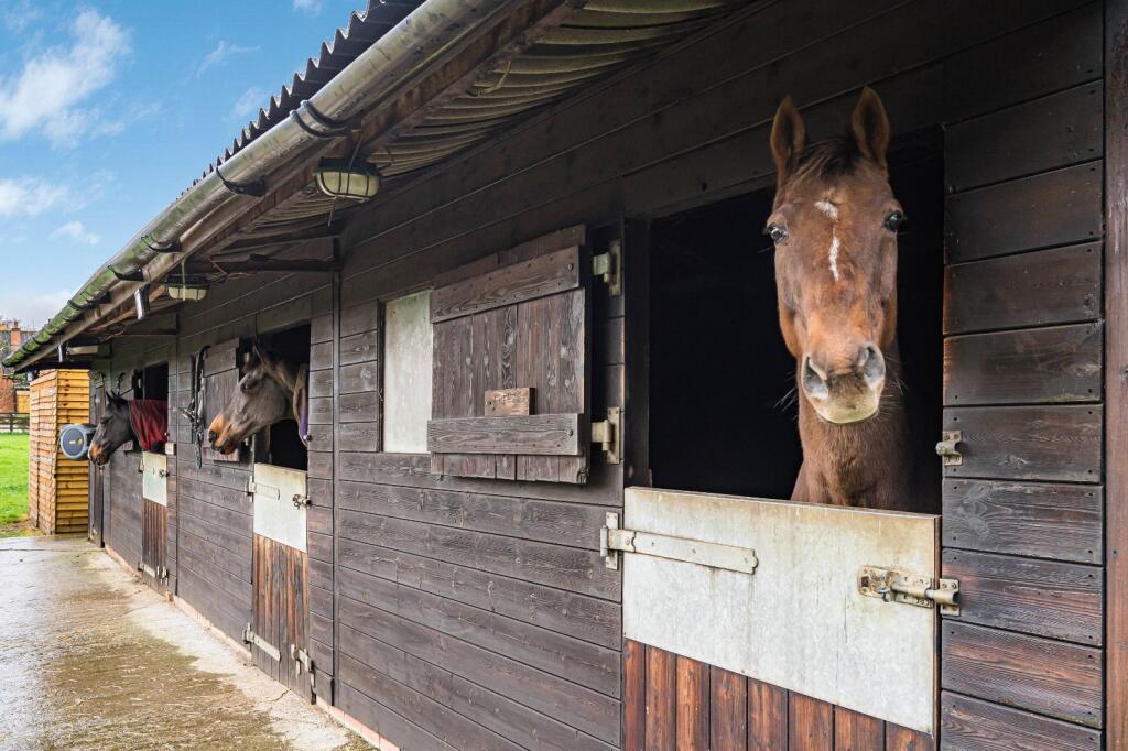 Stable
