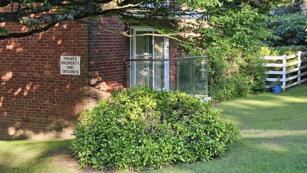 WhatsApp Image 2025-