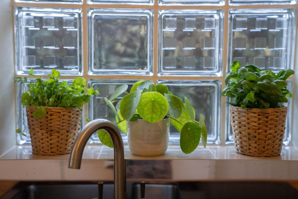 Light and bright kitchen