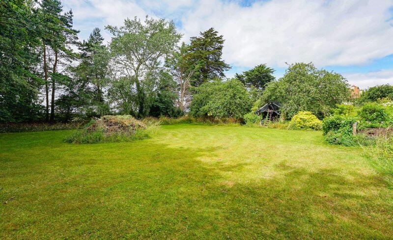 Informal lawn