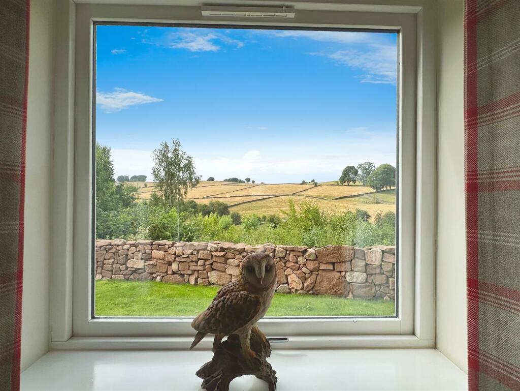 View from Lounge