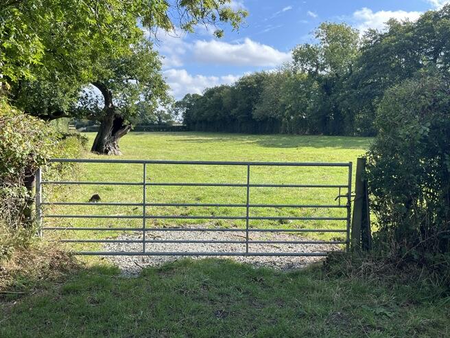 4.33 Ha (10.71 Ac) Grassland, Heath Road, Felmingham , Norwich, Norfolk, NR28