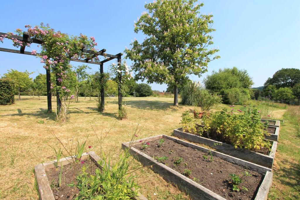 veggie garden