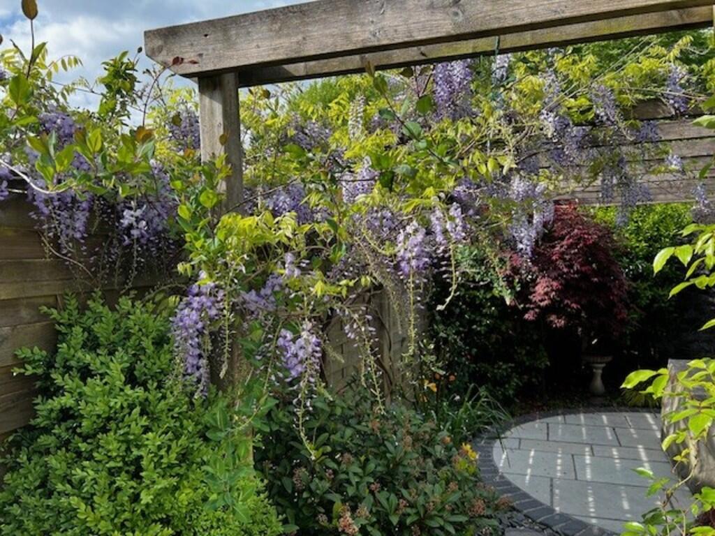 Garden (Vendor ph...