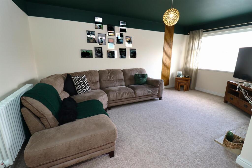 86 Bellazsize - New Lounge Pic.JPG