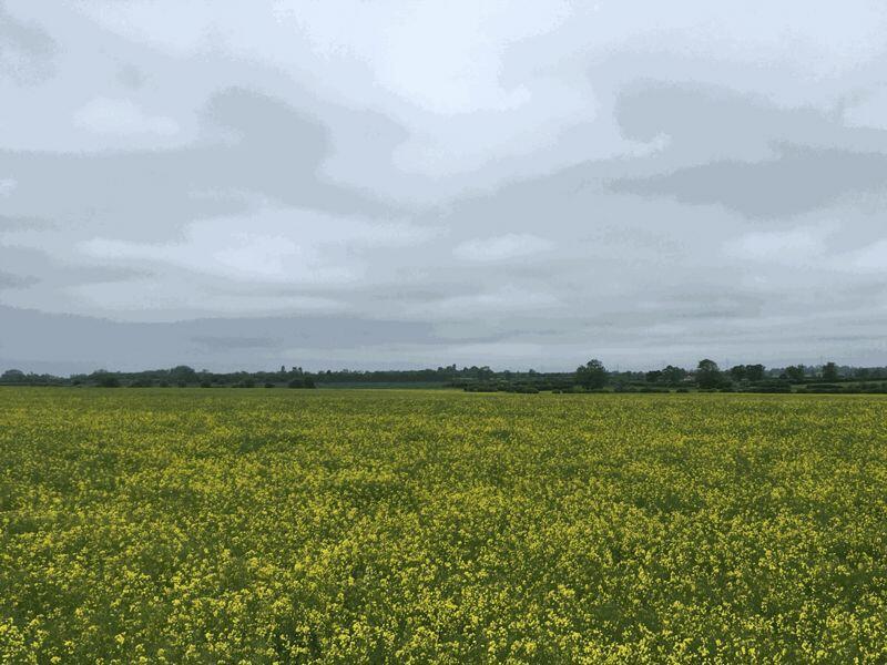 Photo 39