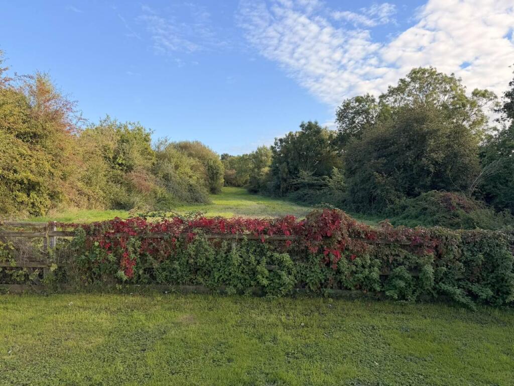 Paddock (Separate Ne