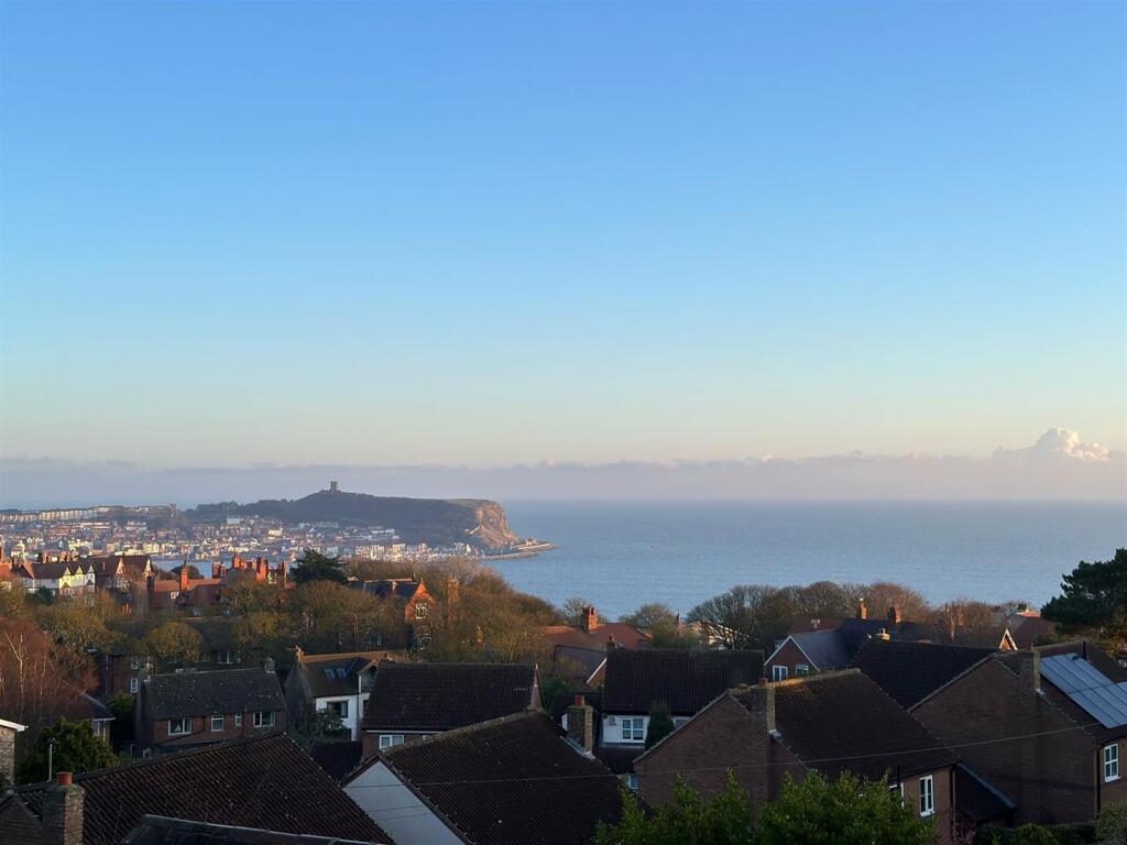 view4.jpg
