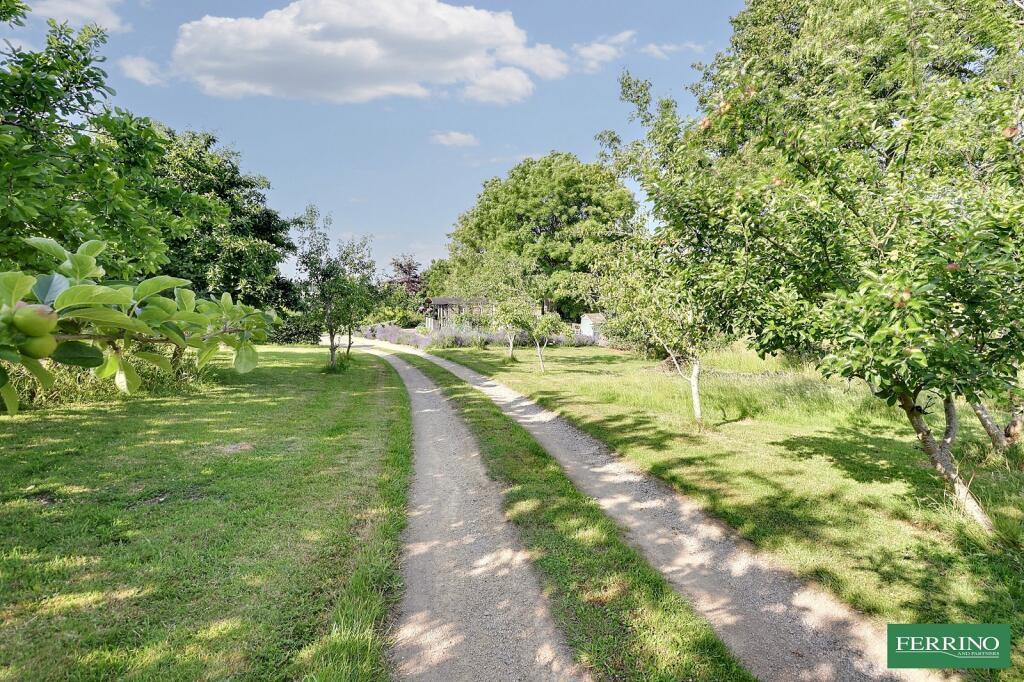 Driveway
