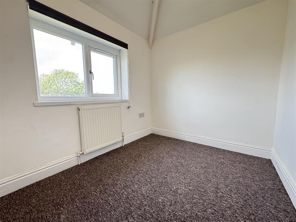 IMG_8532 (Large).JPG