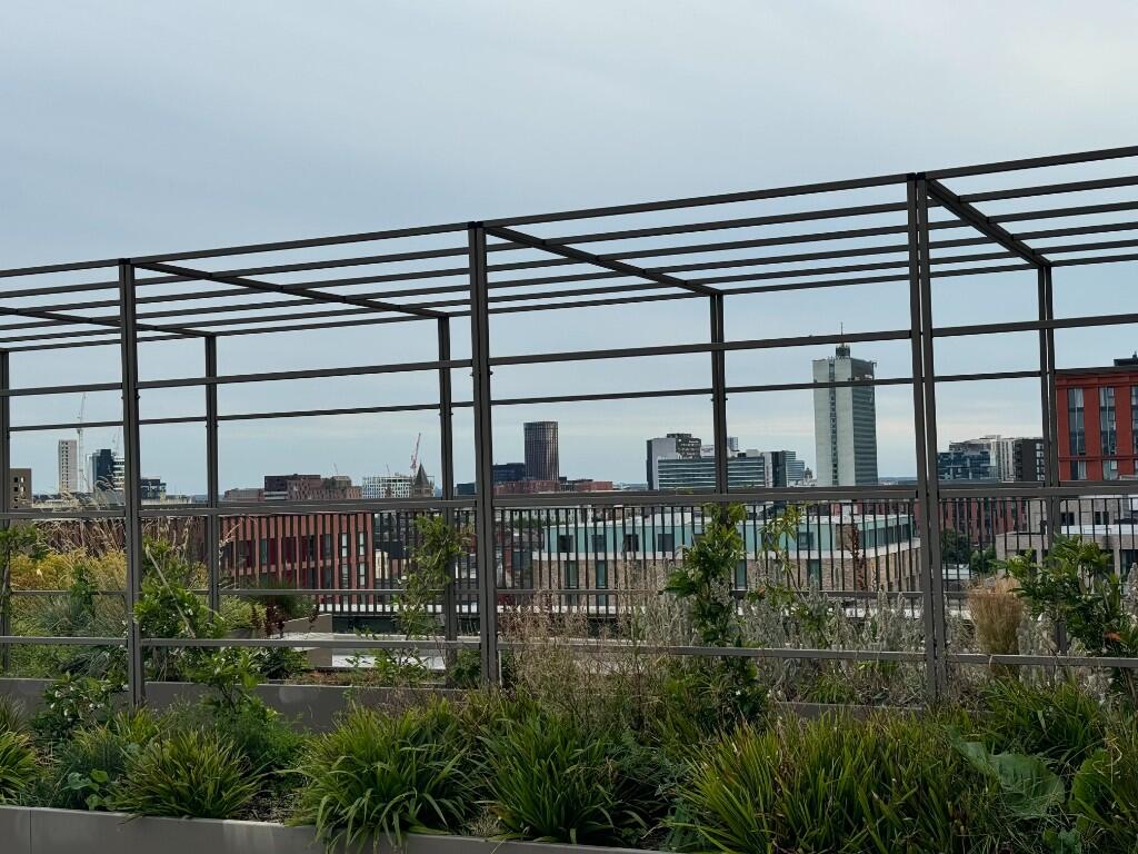 COMMUNAL ROOFTOP 2