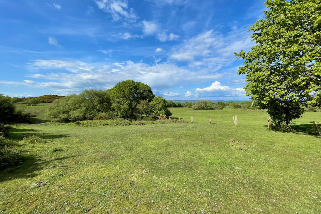 Heathland