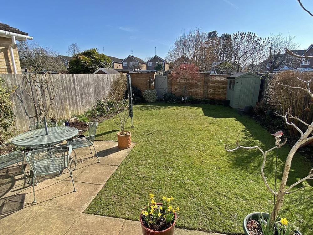 garden.jpg
