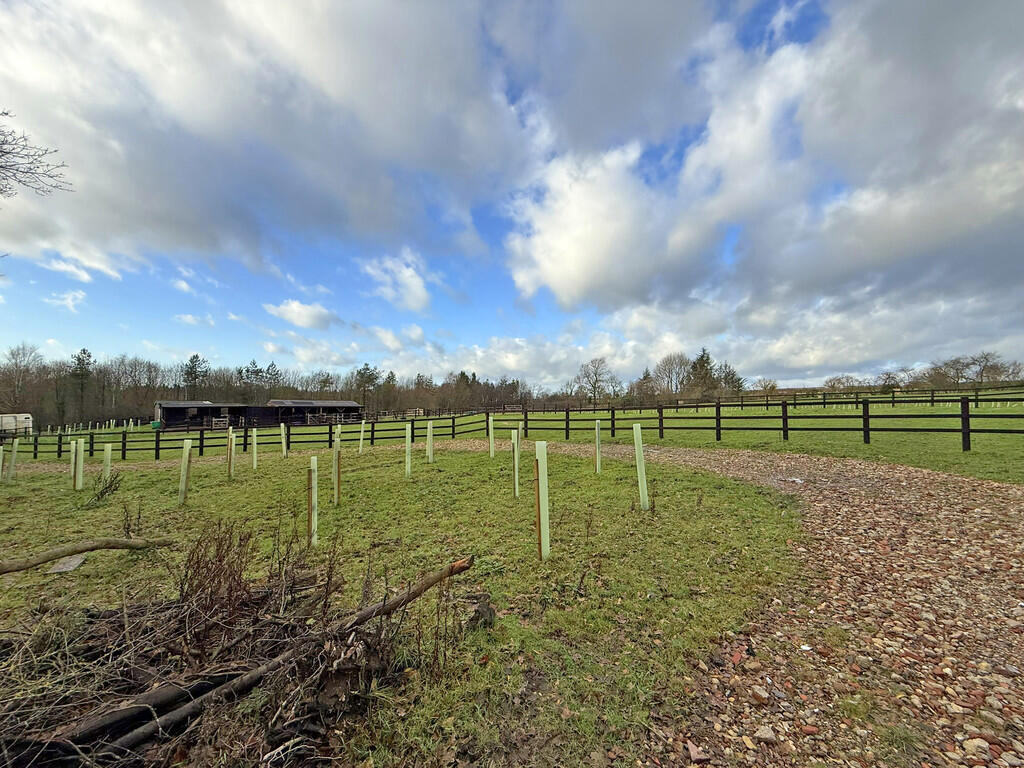 IMG_6587