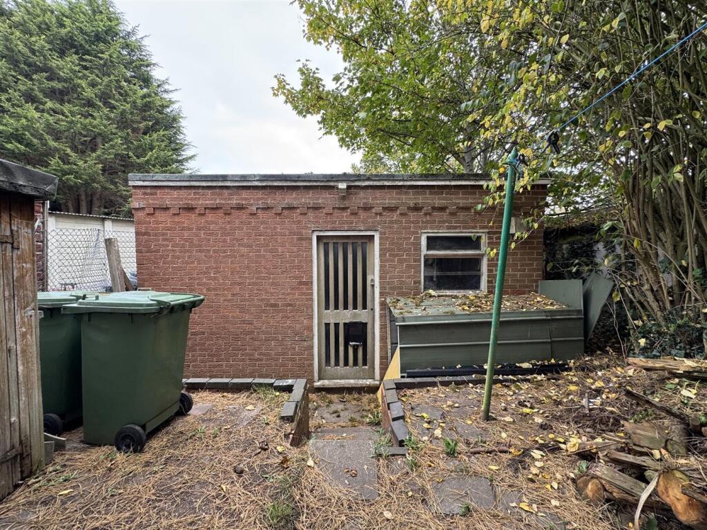 IMG_3587 (Large).JPG