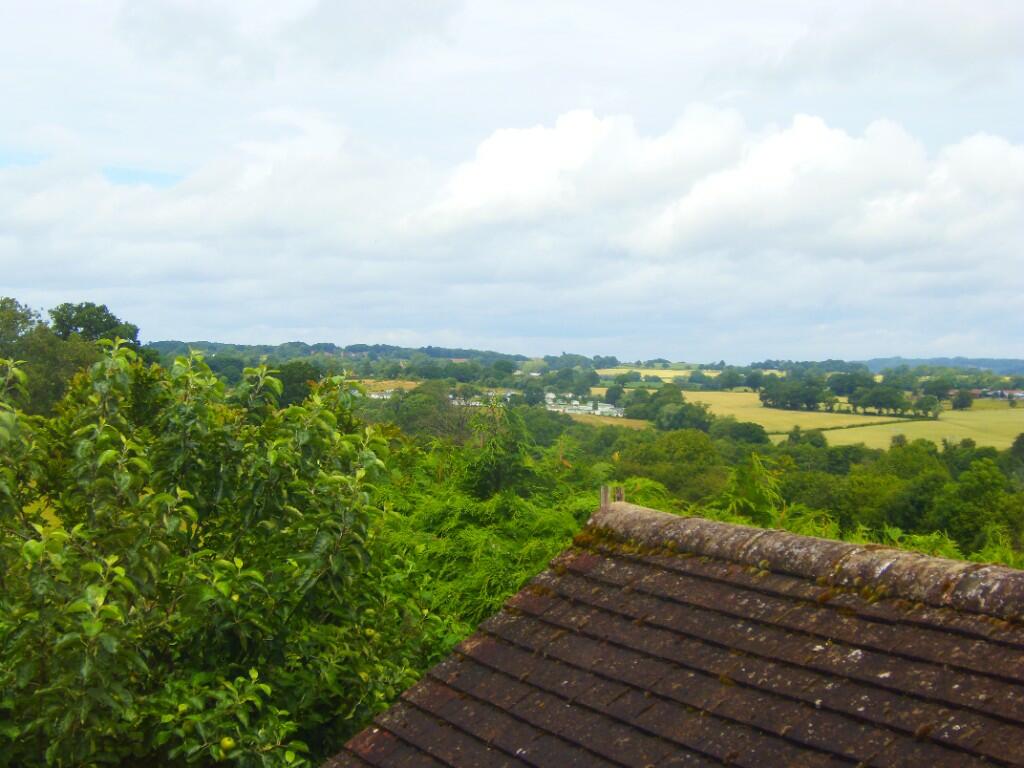 View from Bed 2