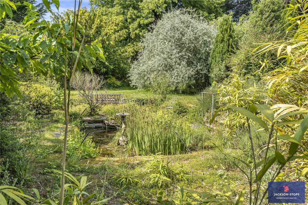 Pond