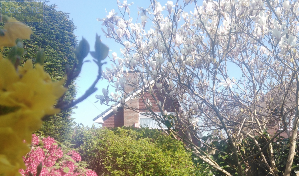 Screen Shot 2025-03-28 at 15.46.18