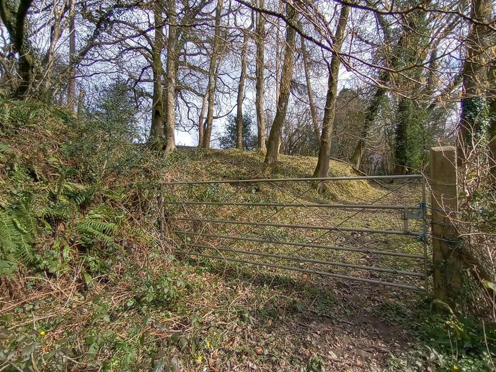 Access Gate To Woodland