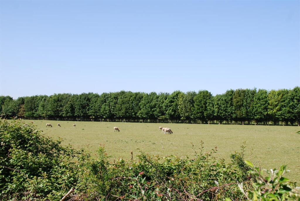 DSC_1122.JPG