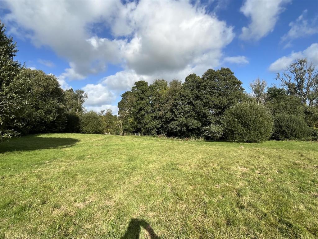 2nd field.JPG