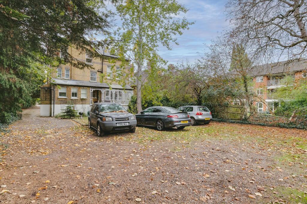 IMG_4859BLENDR-Ed...