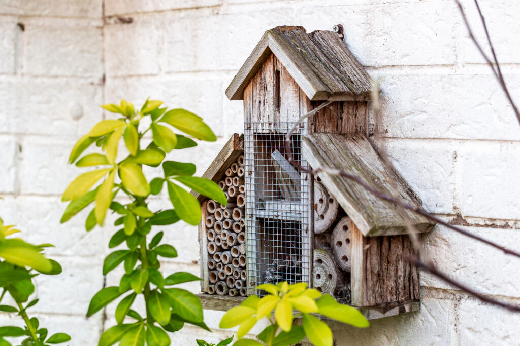 5F8A5220-Enhanced-NR