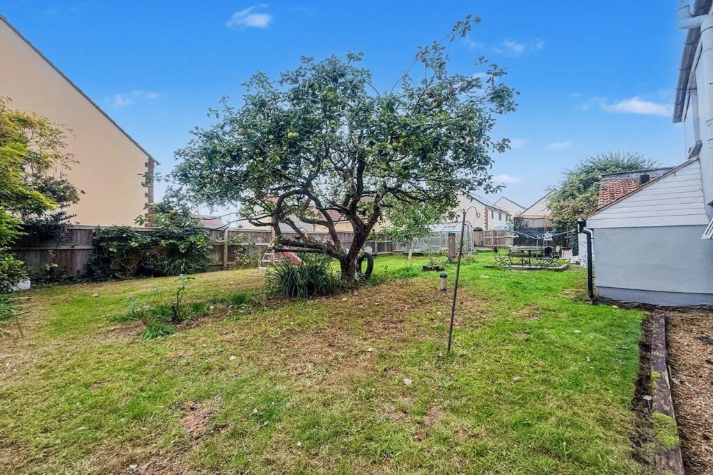 IMG_6049 (Portal Size).jpeg