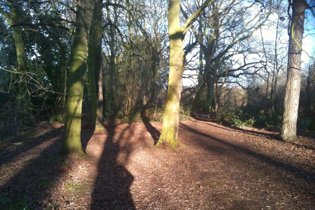 Hillcross Avenue