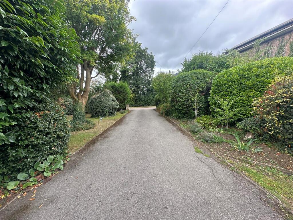 Driveway.jpg