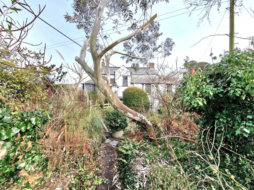 Communal Garden