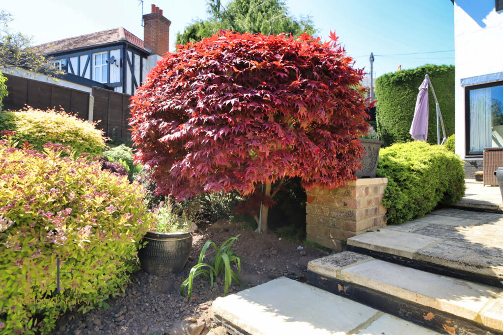 Patio_2